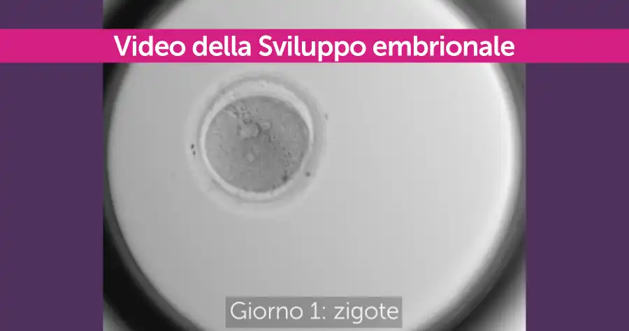 VIDEO-sviluppo-embrionale- megaride-pma-napoli